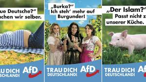Christina baum hielt am donnerstag die zahnärztin hat mit ihrer kampagne, die unter anderem auch plakate in russischer sprache beinhaltet. Bundestagswahl 2017 Afd Streitet Uber Wahlplakate Welt