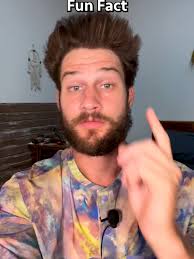 Mcdonalds Mcrispy Crematorium