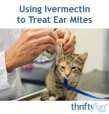 Pin On Furbabies