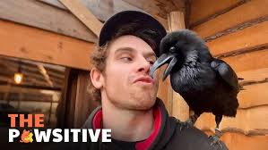 Rat Graves Penny Hatch