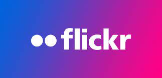They stated they were not going to remove the photos or my name. Google Photos Is Out Flickr Is Back By Jeremy Zero Medium