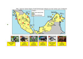 Melihat laut yang indah juga bisa menjadi obat stres yang paling ampuh, makanya banyak sekali banyak kawasan perairan di indonesia yang ternyata memiliki pemandangan taman laut yang sangat menakjubkan. Peta Taman Negara Doc