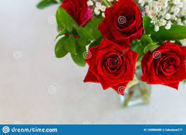 734 Rosas Rojas Para Mi Amor Fotos Libres De Derechos Y Gratuitas De Dreamstime