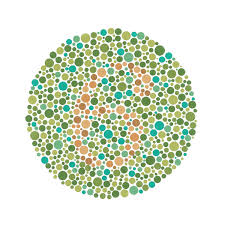 What does a colorblind person see. A Colourblind Guide To Colourful Presentations Oxford Protein Informatics Group