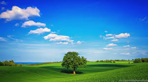 We present you our collection of desktop wallpaper theme: Full Hd 1080p Nature Wallpapers Desktop Backgrounds Hd Downloads Desktop Background