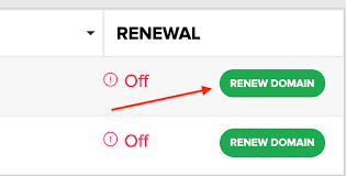 Renewing A Domain Name Name Com