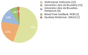 Image result for Maesobotrya floribunda