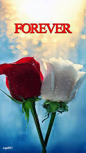 Romantic love love romantic flowers romantic flowers love flowers heart shaped flower background high definition picture romance valentine beautiful nature decoration day gift pink beauty macro ornament valentine39s day season plants wallpaper candle floral lover clouds candlelight. Gif Background Romantic Gif Flowers Gifaya