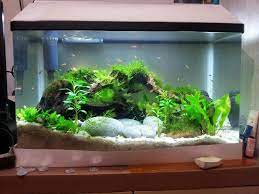 Temukan berbagai produk terbaik kami (aquarium dan mejanya, accesories aquarium, aquarium custom, ikan dan tanaman, pendingin, alat alat aquarium) dengan kualitas dan harga jual terbaik yang bisa anda dapatkan. Beli Aquarium Baru Mending Cari Yang Jual Aquarium Bekas Murah Karena Kepepet Ikan Hias Air Tawar Laut Dan Aquarium