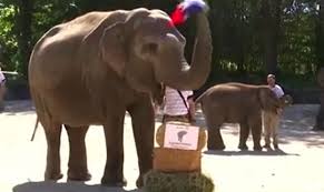 Mecze euro 2020 możesz oglądać online na platformie wp pilot. 4oril7dp9ptvkm