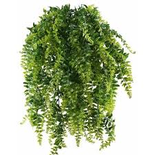 He incluso, en los viveros hay macetas con bases de altura que sirven como enredadera. Plantas Colgantes Exterior Al Mejor Precio