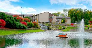 Image result for Hubbardochloa