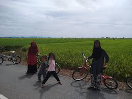 Cuma 32 minit sahaja dari kuala selangor. Dunia Anakku Bawa Anak Anak Cuti Ke Sekinchan Apa Yang Menarik