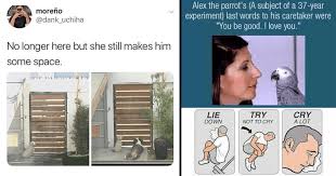 Memebase Sad Comics All Your Memes In Our Base Funny Memes Cheezburger Funniest dog memes that make you laugh all.