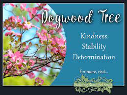 Discover the magickal propeties each wood gives and how their use in spell casting can be appropriately applied. Dogwood Tree Meaning Symbolism Tree Symbolism Meanings