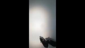 Youtube movies and shows are part of youtube's gigantic streaming network. The Proteasome Regulator Pi31 Is Required For Protein Homeostasis Synapse Maintenance And Neuronal Survival In Mice Pnas