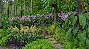There is a small fee to enter the national orchid garden within the grounds. Singapore Botanic Gardens And National Orchid Garden Youtube