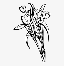 Experiment with deviantart's own digital drawing tools. Hand Drawn Black And White Flowers Love Vector Love Free Transparent Png Download Pngkey
