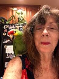 Photos of Coconut Grove Bird and Fish Farm near Oak Feed?