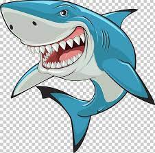 Hammerhead Shark Great White Shark Png Shark Art Animated Shark Shark Illustration