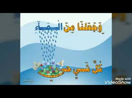 قال الله وجعلنا من الماء كل شيء حي سورة الأنبياء الآية 30 Youtube