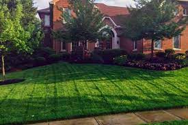 As a residential landscaping company in south florida, we at pink and green help our clients achieve their landscape maintenance and lawn care we have completed over 400 front yard and backyard landscaping projects near both miami and fort lauderdale surrounding areas (near weston, boca. Lawn Landscape Services Compton Lawn Care 618 971 2547