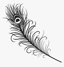 And draw out a tear wide tear drop shape for the feather. Turkey Feathers Clipart Black And White Vector Free Easy To Draw Peacock Feather Hd Png Download Transparent Png Image Pngitem