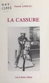 Maybe you would like to learn more about one of these? L Homme De Passage Une Histoire D Amours De Patrick Loiseau Livre Decitre