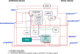 Drugs may affect the test but usually with an inconclusive result. Novel Pharmacological Targets In Drug Development For The Treatment Of Anxiety And Anxiety Related Disorders Sciencedirect