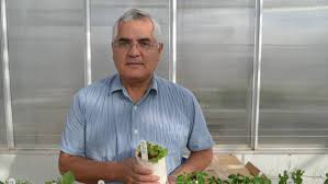 Después de obtener un título en literatura, de 1980 a 1987 fue concejal regional de lombardía, ocupando los. Manganese Toxicity Strikes Canola The Land Nsw