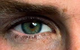 Resultado de imagen para green chartreuse eyes | eye color. 25 Amazing Facts About Green Eyes Guy Counseling