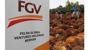 Felda global ventures fgv continues search for oil palm plantation felda global ventures plantations (fgv) will continue to. Us Detention Of Palm Oil Palm Oil Products Not Evidence Based Borneo Today