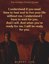 However, it was the love triangle between damon, elena. 25 The Vampire Diaries Quotes That Demonstrated To Us The Distinctive And Darker Shades Of Love Bumppy