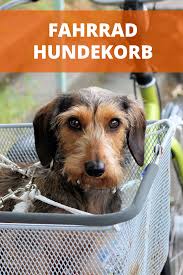 Hundekorb Fur Fahrrad Praxistest Und Empfehlungen Hundefahrradkorb Fahrrad Hundekorb Hundekorb Hund Fahrrad