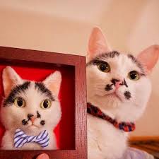 Japon Artist In Kece Kullanarak Yaptigi 3 Boyutlu Kedi Portrelerini Gorunce Gozlerinizden Kalpler Fiskiracak Kediler Ve Yavrulari Kedi Kedi Sanati