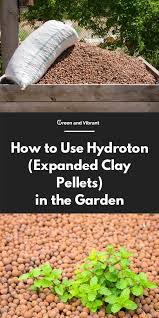 You can't buy your own item. How To Use Hydroton Expanded Clay Pellets In The Garden Trees Com