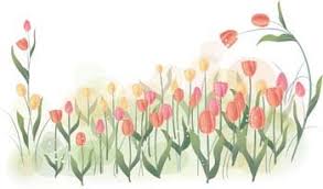 There are varieties like roses, daisies, sunflowers, irises, lilies you'll find clip art images of flowers in bouquets, alone, and planted. Open Tulip Flower Clip Art Free Download
