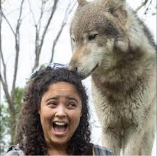 Is Danse Macabre returning to Bristol Renaissance Faire this year?
