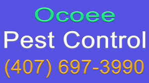 Here are a few ways to get rid of three common household pests. Ocoee Pest Control 407 697 3990 Pest Control Services In Ocoee Fl