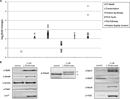 Check spelling or type a new query. Optimizing Recombinant Protein Production In The Escherichia Coli Periplasm Alleviates Stress Applied And Environmental Microbiology