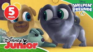 Top 5 Bingo Und Rolly Momente Welpen Freunde Disney Junior Kurzgeschichten Youtube