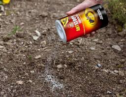 You'll only kill the ants on the surface and may the ones just under. 7izco Olmlpdkm