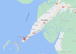 Image result for Humularia kapiriensis