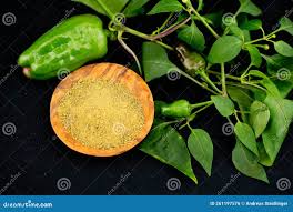 Image result for Xylopia aethiopica