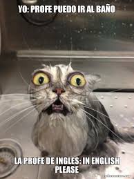 Memes that propagate less prolifically may become in 1904, richard semon published die mneme (which appeared in english in 1924 as the mneme). Yo Profe Puedo Ir Al Baa O La Profe De Ingles In English Please Cat Bath Make A Meme