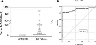 Bladder cancers are further classified based on how the cancer cells appear when viewed through a microscope. Tumor M2 Pk A Novel Urine Marker Of Bladder Cancer