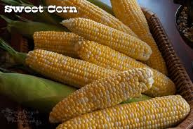 Since canned corn is already cooked, you don't need to heat it up for very. The Difference Between Sweet Corn And Field Corn