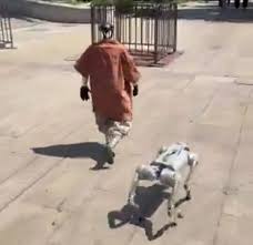 Erome michell zepeda turns out that Robin collaborates with