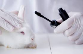 Neutrogena ® hydro boost hydrating concealer. List Of Companies That Still Do Animal Tests In 2019