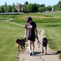 When to book boarding reservations for pawsitive pet services? Pawsitive Pet Care 1 Visitor